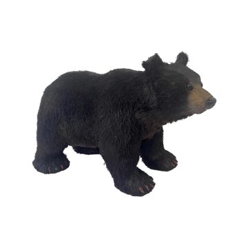 BEAR 7"X12" BLACK/NATURAL