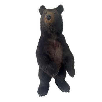 BEAR STANDING (TWO FEET) 22"X45" BLACK NATURAL