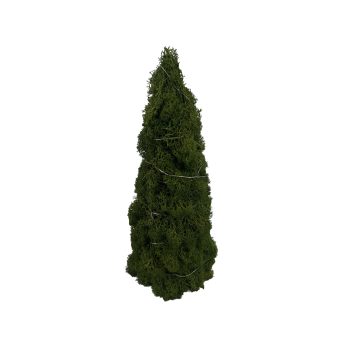 MOSS CONE TREE 5"X12" GREEN W/LED MICRO LIGHTS