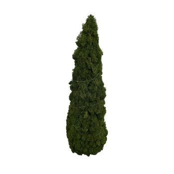 MOSS CONE TREE 8.5"X24" GREEN W/LED MICRO LIGHTS