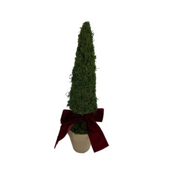 MOSS CONE TREE IN POT 5"X18" GREEN W/BOW
