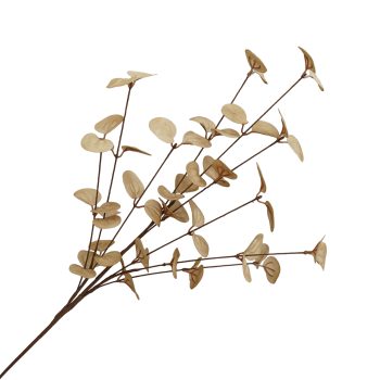 FALL SPRAY EUCALYPTUS LEAVES 26.5" BEIGE