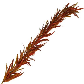 FALL GARLAND DRIED GRASS GRAIN 5' RUST BROWN TERRACOTTA TEXTURED