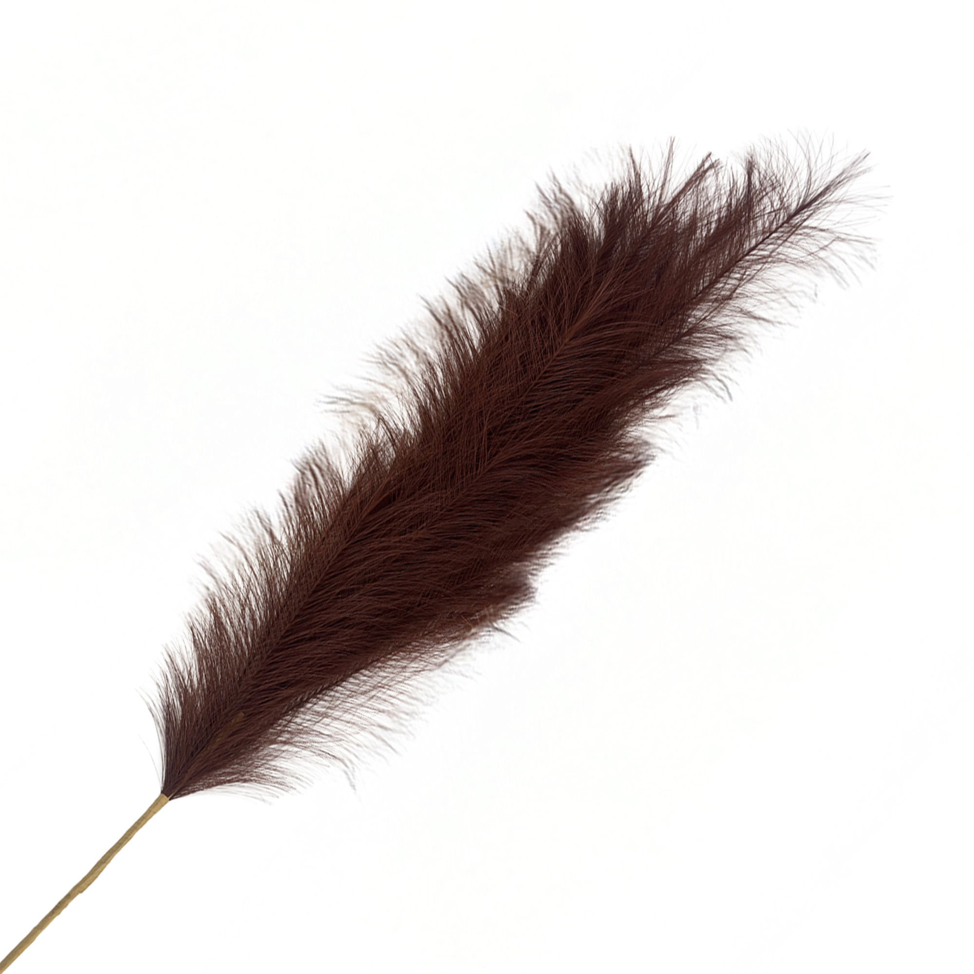 SPRAY PAMPAS GRASS 43" DARK BROWN