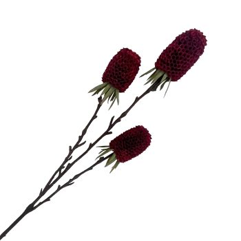 FALL SPRAY BANKSIA 29"X3 BURGUNDY