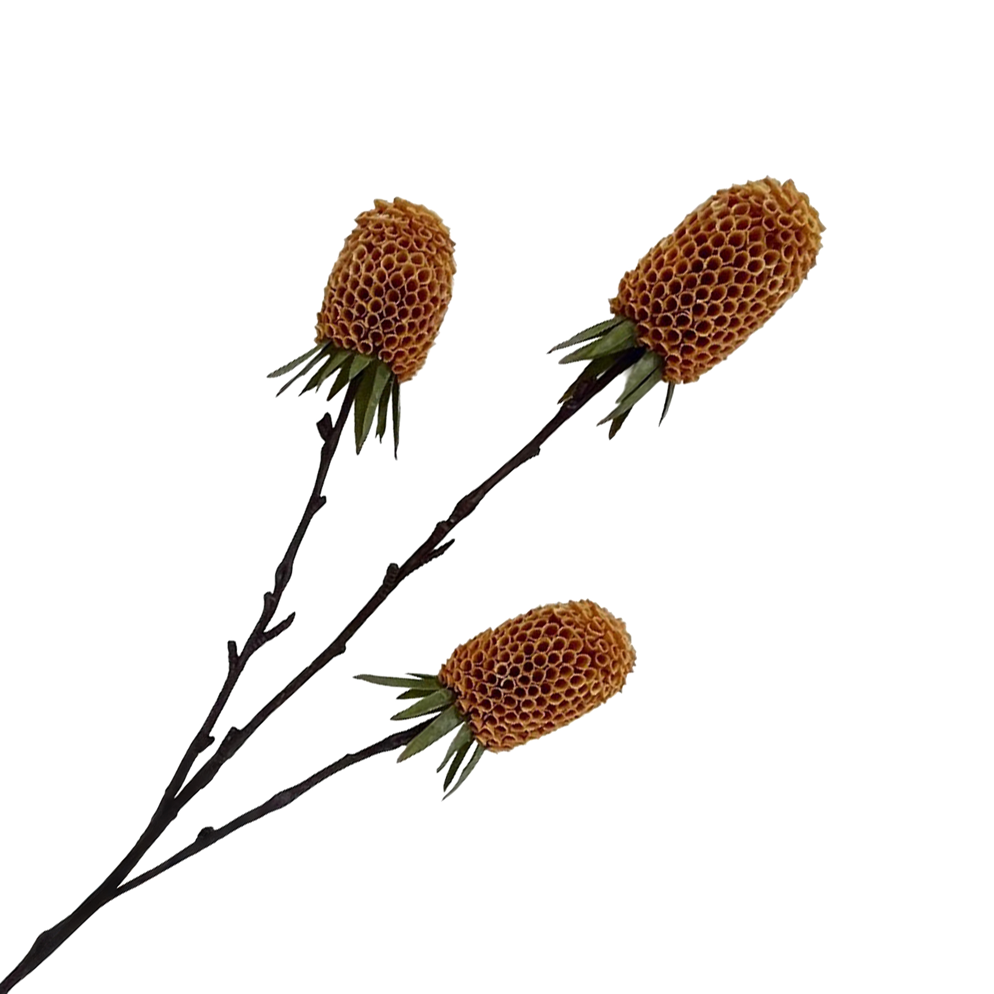 FALL SPRAY BANKSIA 29"X3 PEACH (DK. ORANGE)