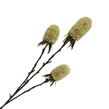 FALL SPRAY BANKSIA 29"X3 YELLOW