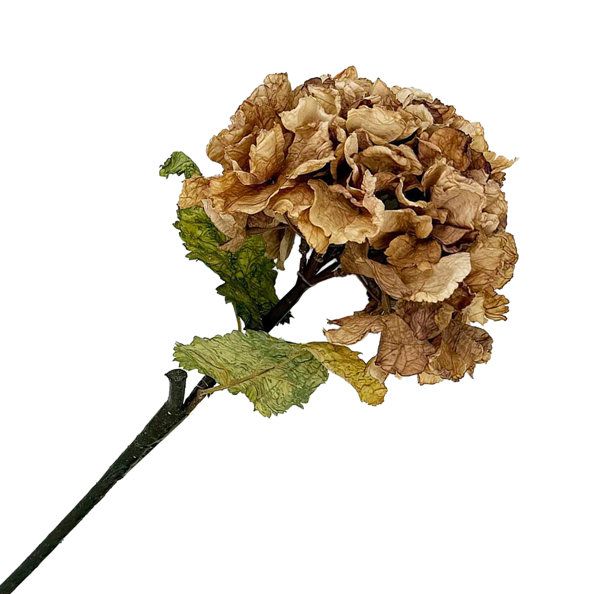 FALL STEM HYDRANGEA DRIED LOOK 22" BROWN TAN VINTAGE
