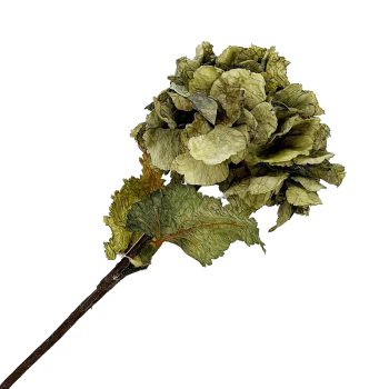 FALL STEM HYDRANGEA DRIED LOOK 22" SAGE GREEN VINTAGE