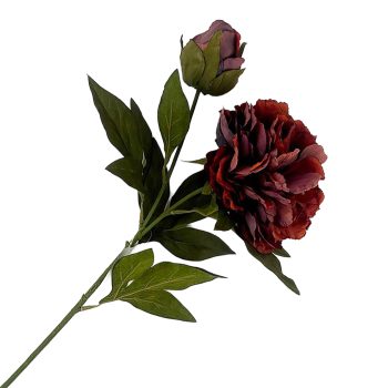 FALL STEM PEONY 27" DEEP BURGUNDY RED BLOOM BUD VINTAGE