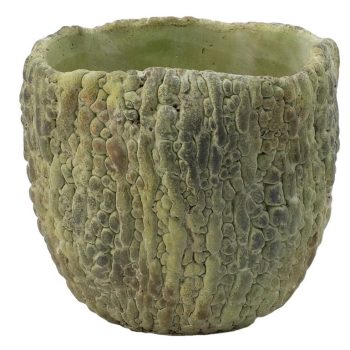 CEMENT PLANTER, BITTER GOURD PATTERN 6"H