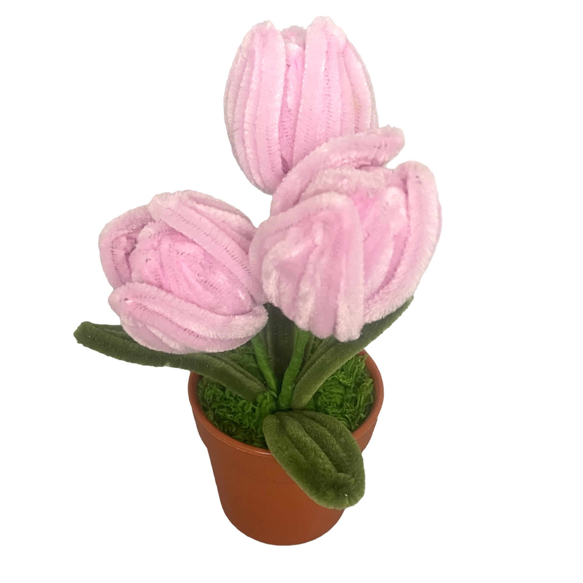 TULIPS IN POT 6.5"H PINK CHENILLE WIRE