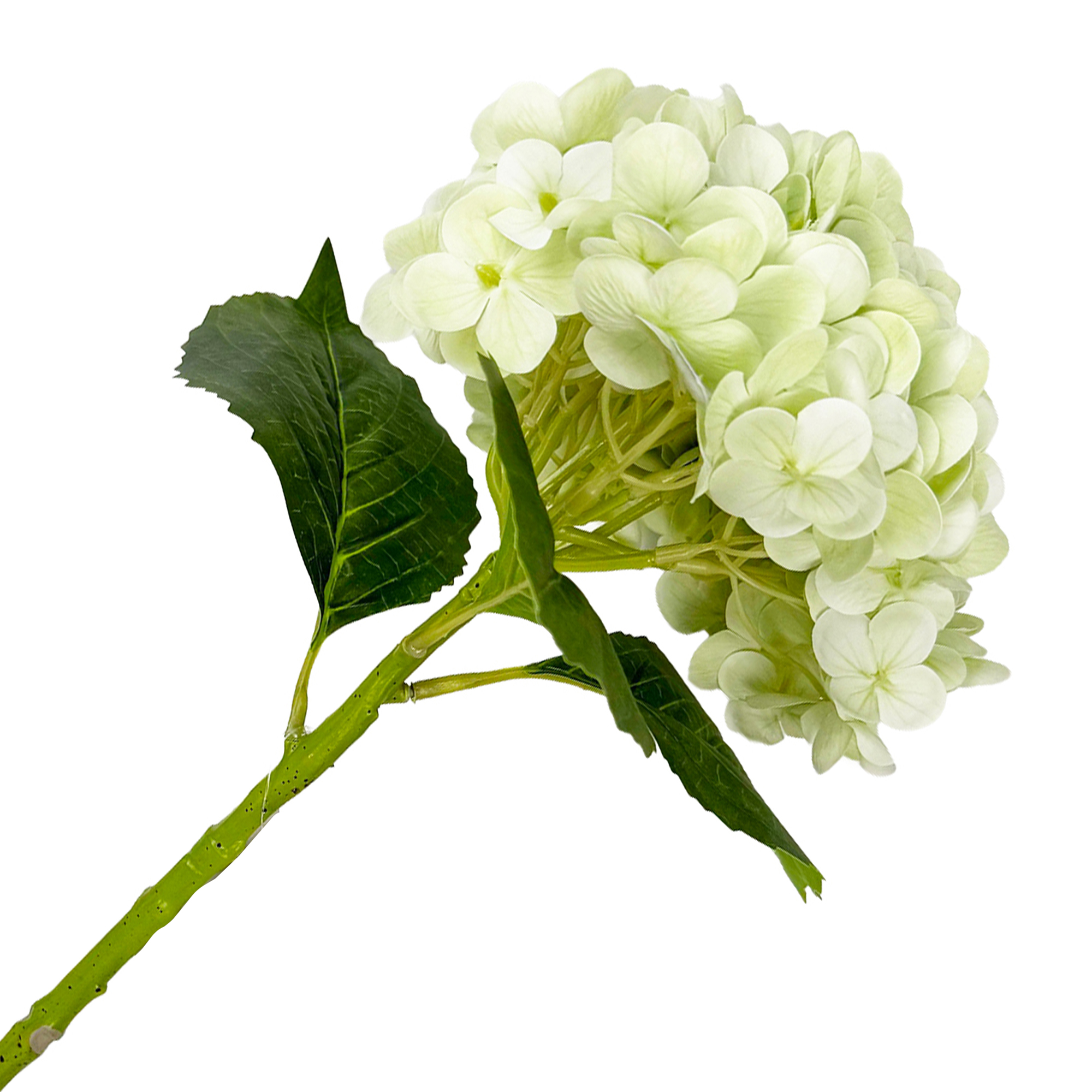STEM HYDRANGEA 21.5" DLX LT. GREEN REAL TOUCH