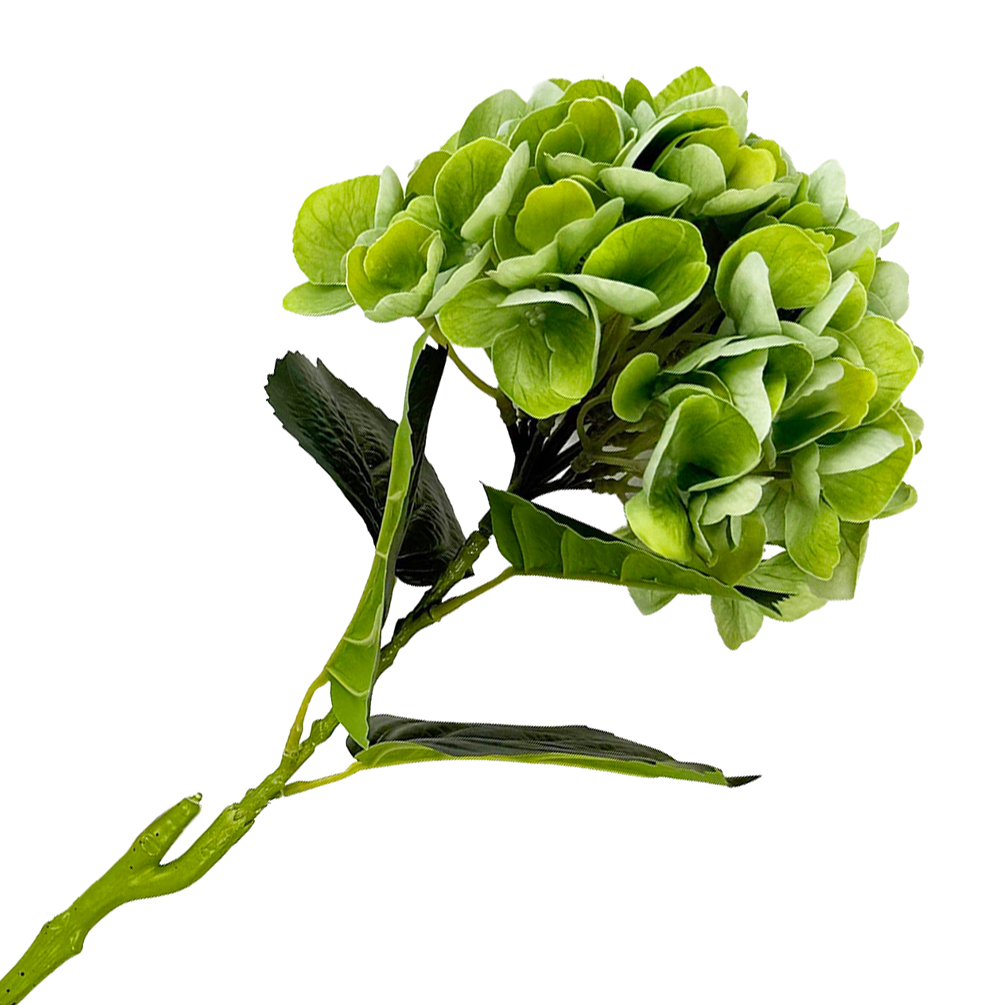 STEM HYDRANGEA 25" GREEN REAL TOUCH TWO- TONE