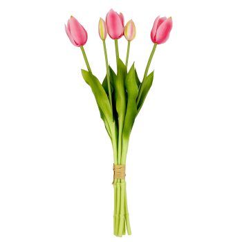 TULIP BUNDLE 5 X 18" MULTI-TONE PLUM PINK/CREAM