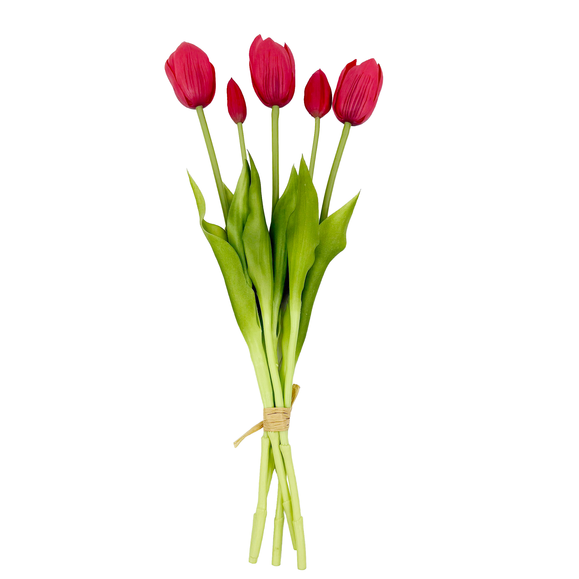 TULIP BUNDLE X 18" MULTI-TONE CRIMSON RED/MAGENTA
