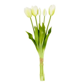 TULIP BUNDLE X 5 18" MULTI-TONE IVORY CREAM/LIME GREEN