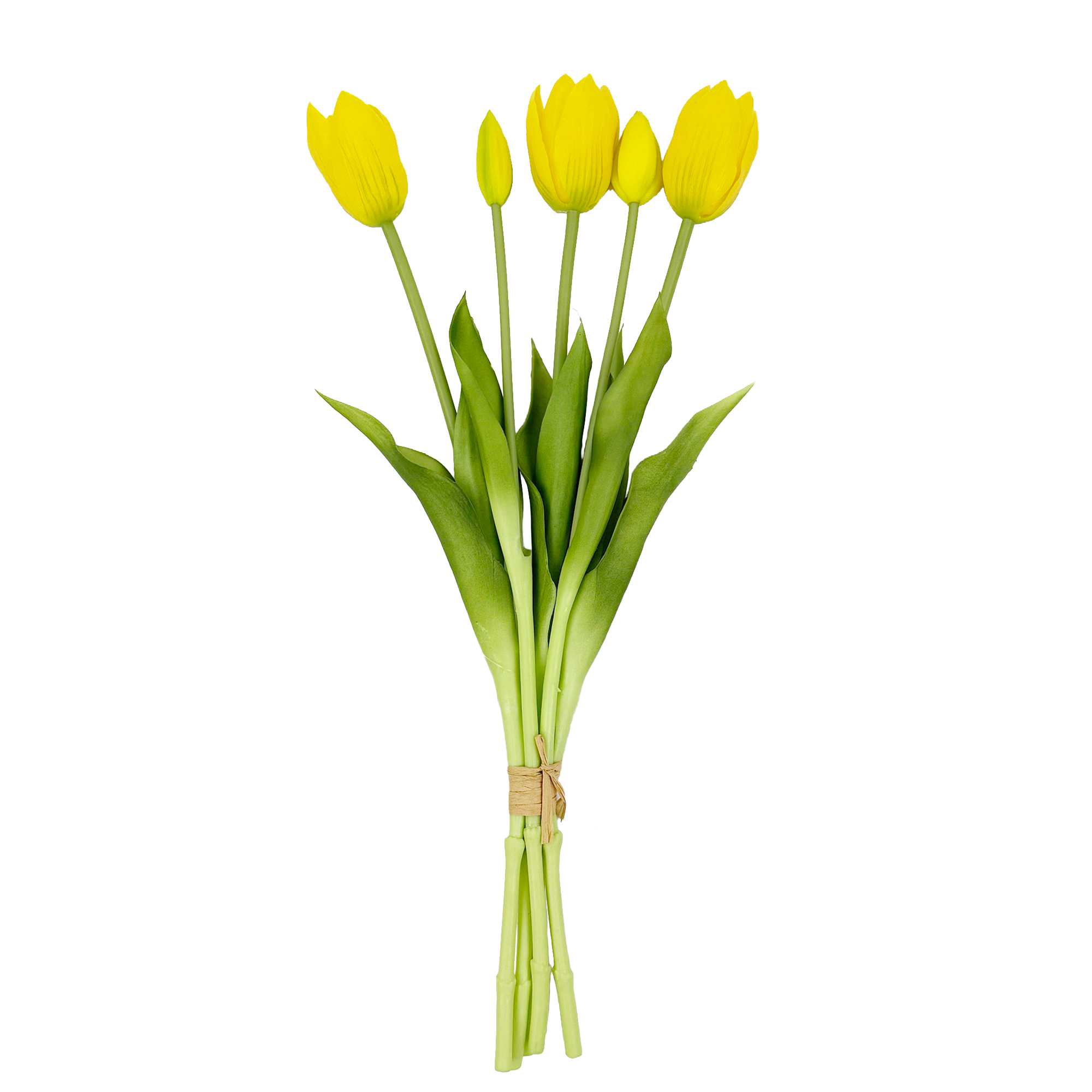 TULIP BUNDLE 5 X 18" MULTI-TONE SUNSHINE YELLOW/LEMON