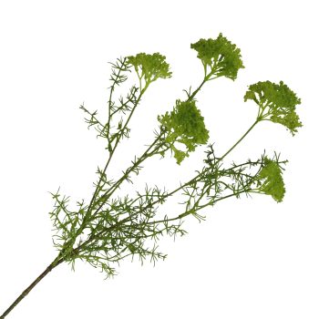 QUEEN ANNE'S LACE SPRAY W/FEATHERY LEAVES 30" GREEN
