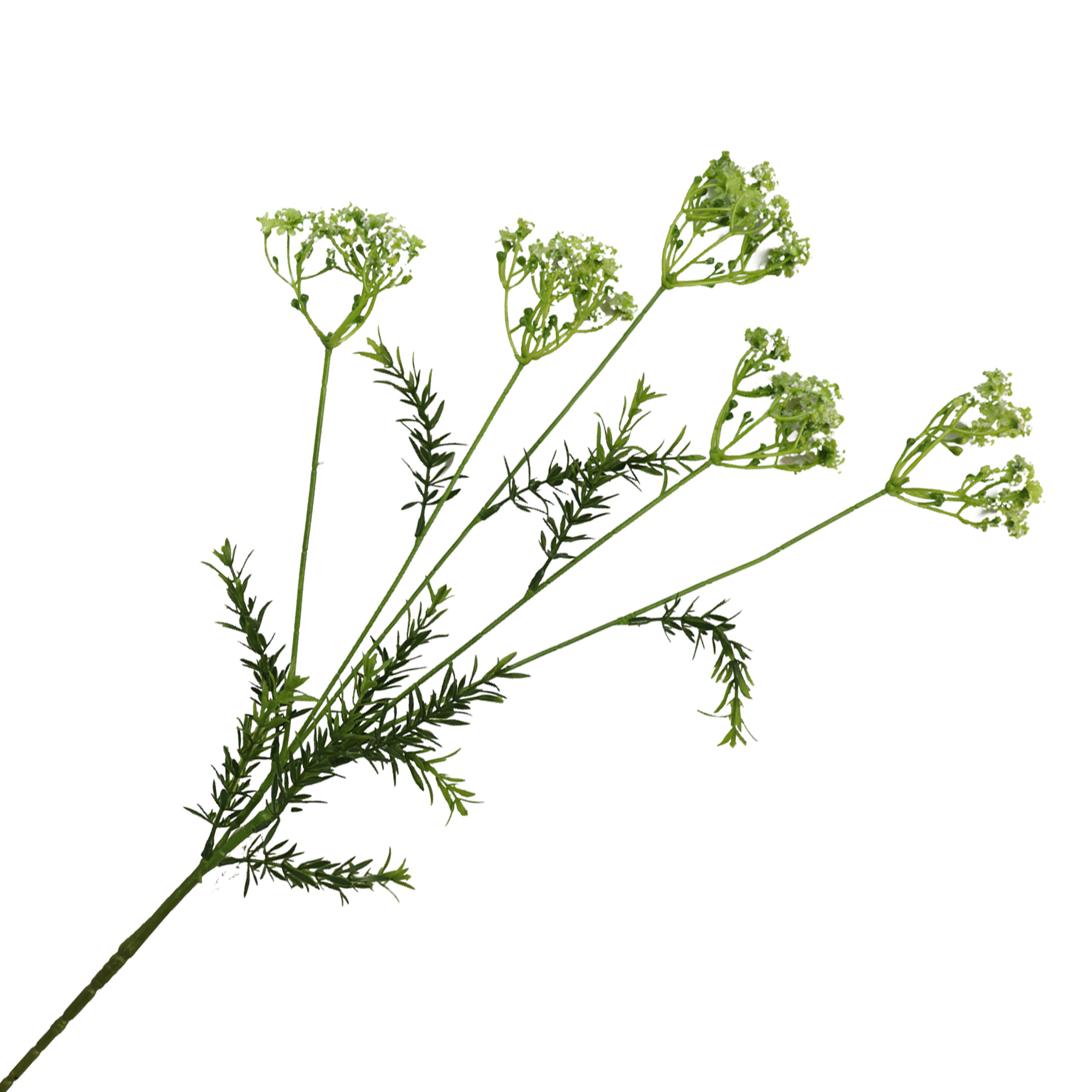 SPRAY QUEEN ANNE'S LACE 30" WHITE W/MINI-LEAVES