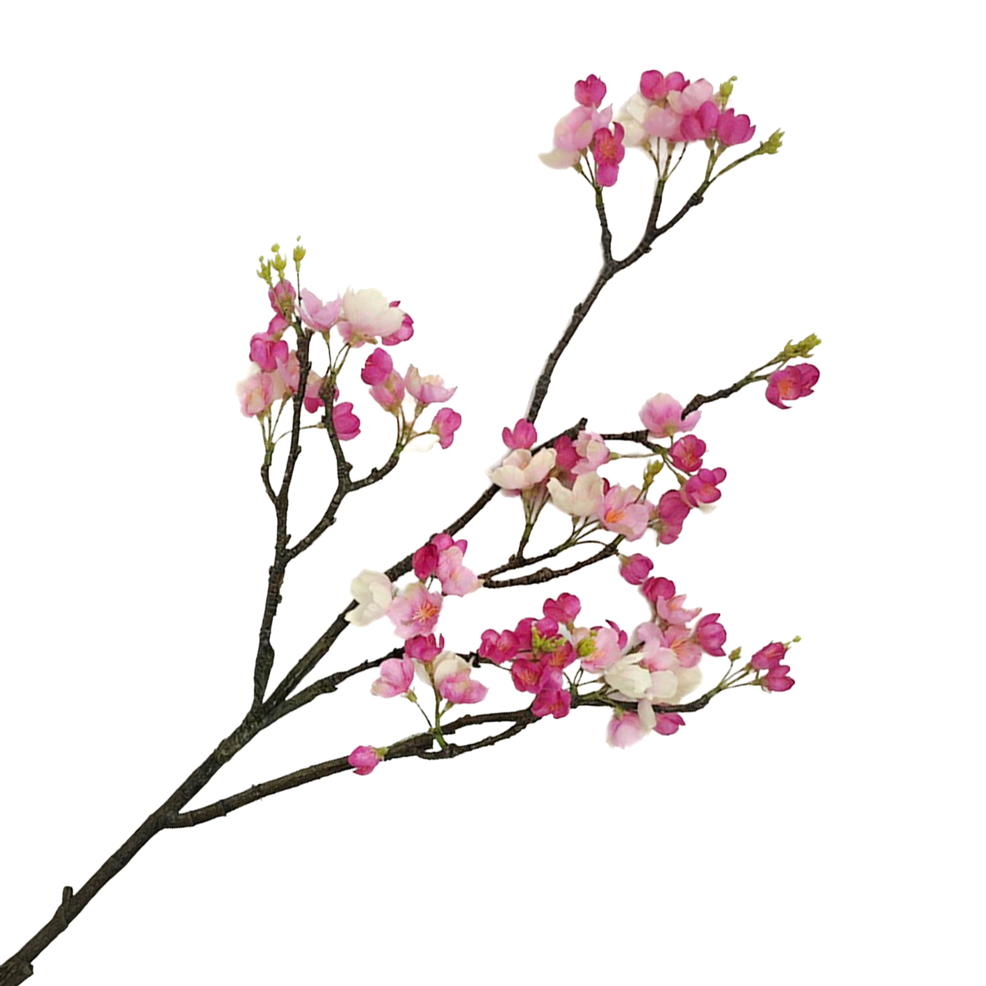 SPRAY CHERRY BLOSSOM 34" PINK TWO-TONE