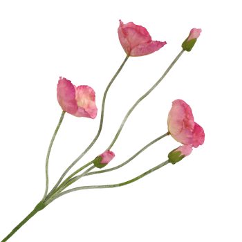 SPRAY POPPY 27" HOT PINK