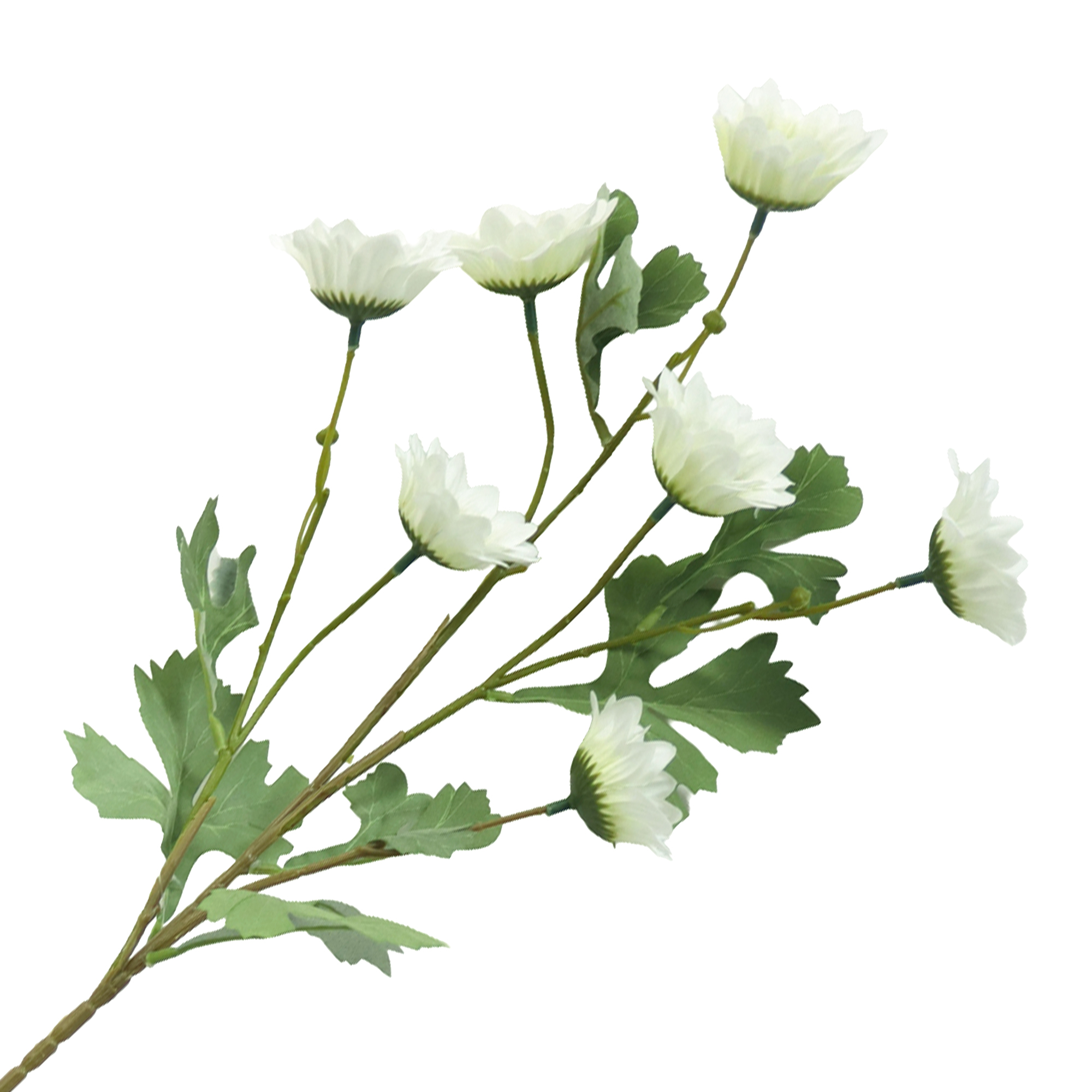 SPRAY DAISY 28.5" WHITE