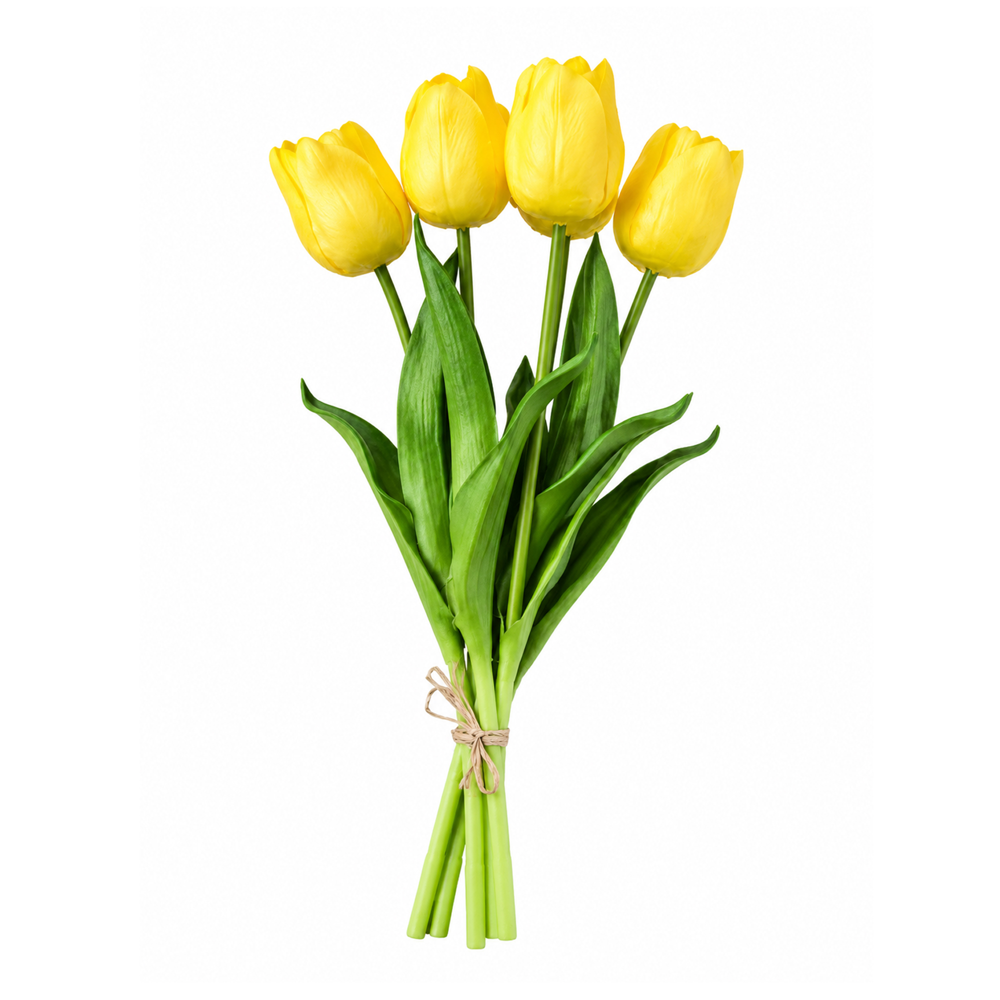 TULIP BUNDLE 5 X 17" MULTI-TONE SUNSHINE YELLOW/LIME (CLASSIC ROUNDED BLOOMS)