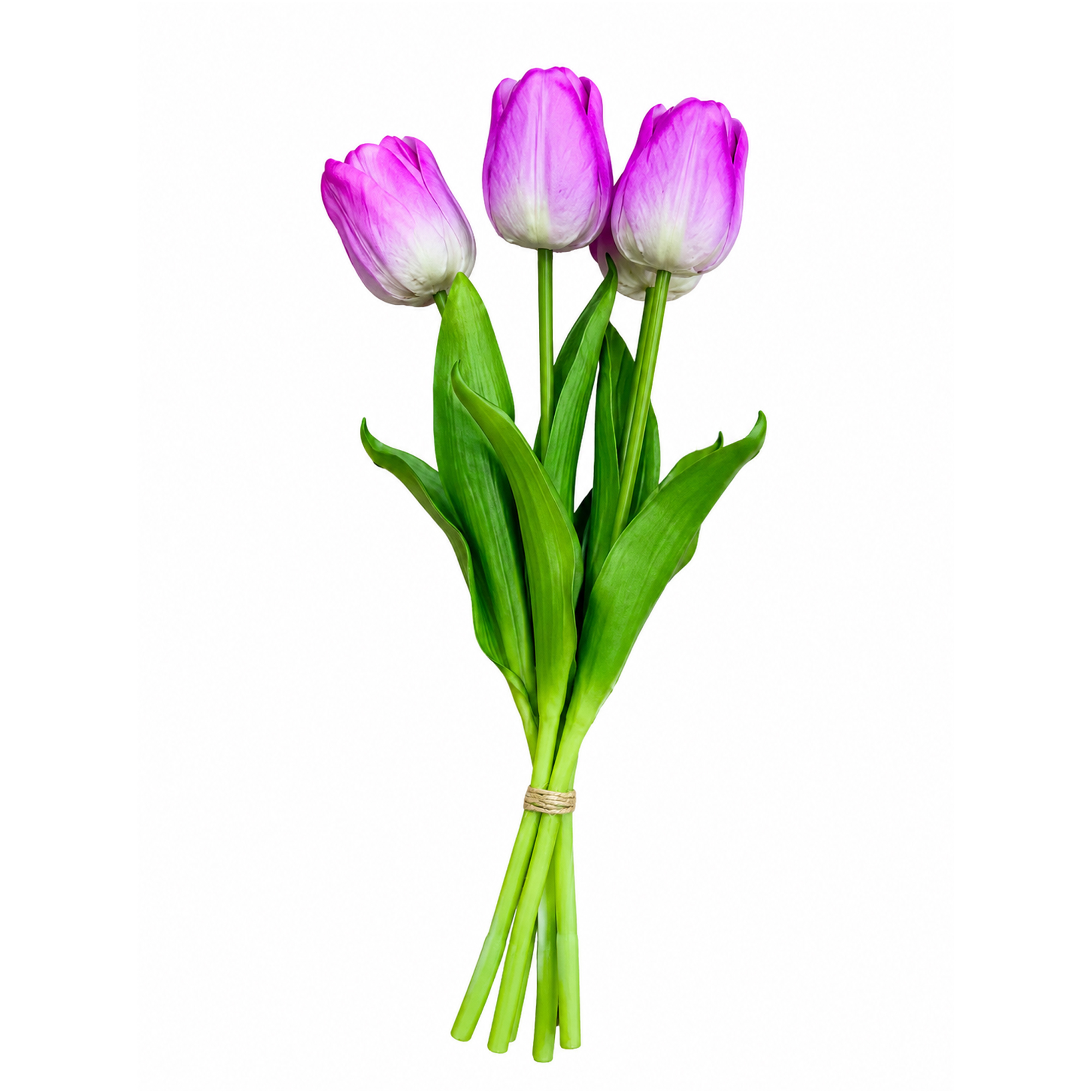 TULIP BUNDLE 5 X 17" MULTI-TONE LAVENDER PURPLE/CREAM (CLASSIC ROUNDED BLOOMS)
