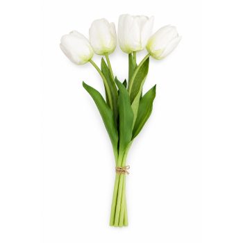 TULIP BUNDLE 5 X 17" MULTI-TONE IVORY WHITE/LIME (CLASSIC ROUNDED BLOOM)