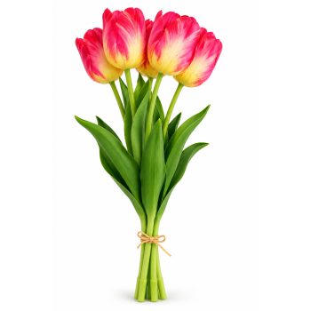 TULIP BUNDLE 5 X 17" MULTI-TONE SUNSET ORANGE MIX (CLASSIC ROUNDED BLOOM)