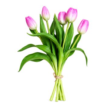 TULIP BUNDLE 5 X 13" MULTI-TONE PLUM PINK/CREAM (3D-PRINTED REAL-TOUCH)
