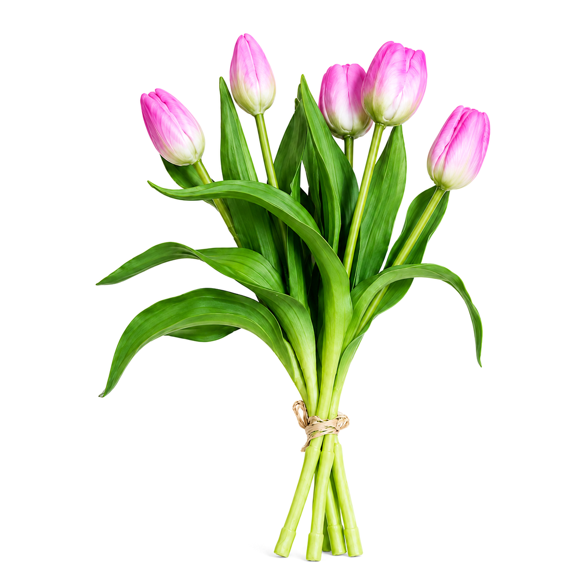 TULIP BUNDLE 5 X 13" MULTI-TONE PLUM PINK/CREAM (3D-PRINTED REAL-TOUCH)