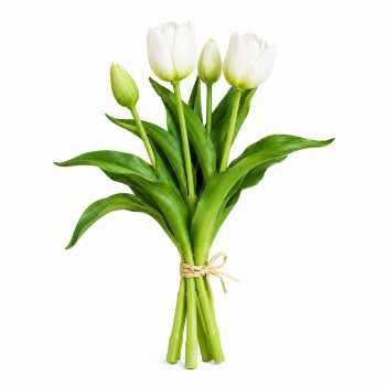 TULIP BUNDLE 5 X 13" MULTI-TONE IVORY WHITE/LIME (3D-PRINTED REAL-TOUCH)