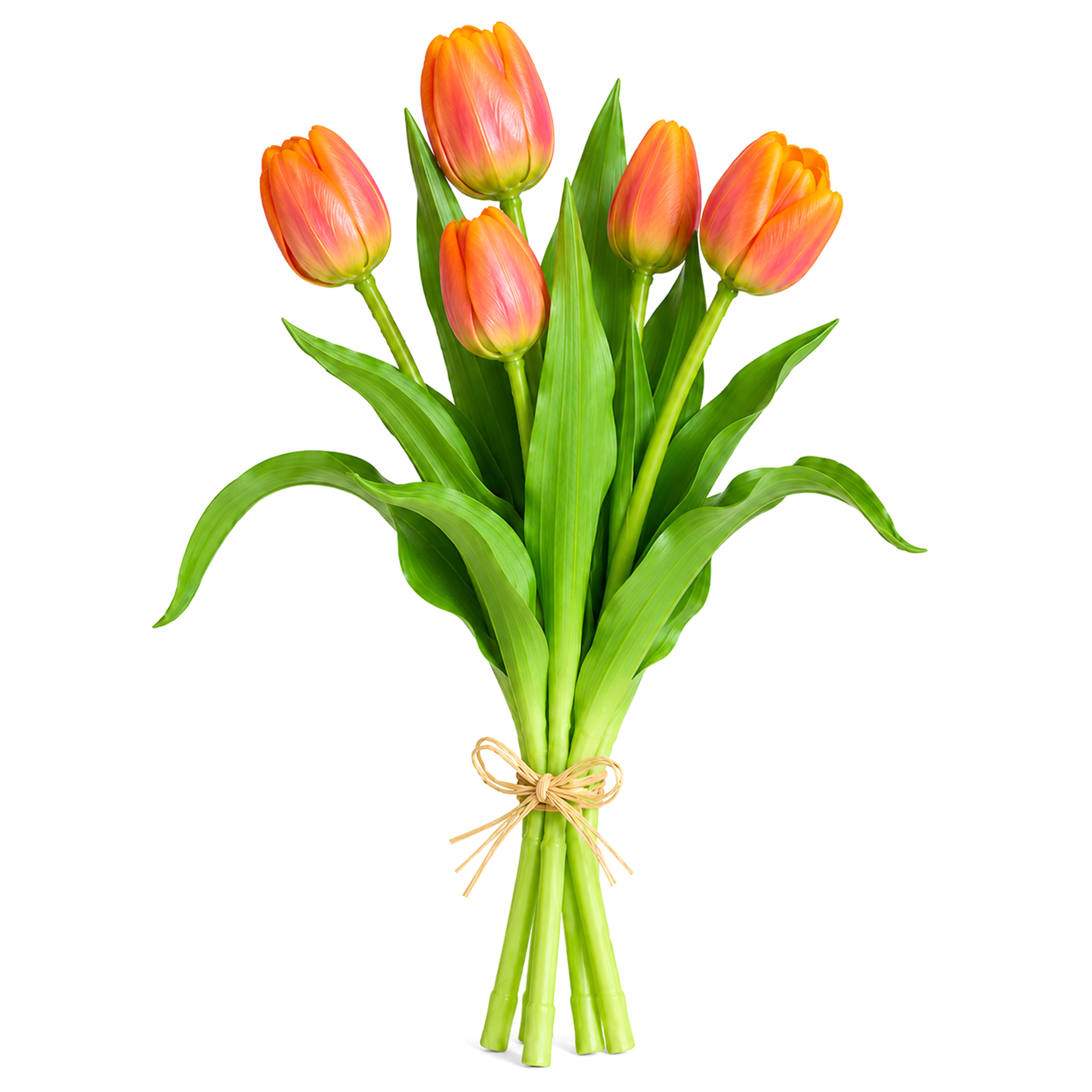 TULIP BUNDLE 5 X 13" MULTI-TONE CORAL BLUSH/CREAM (CLASSIC ROUNDED BLOOMS)