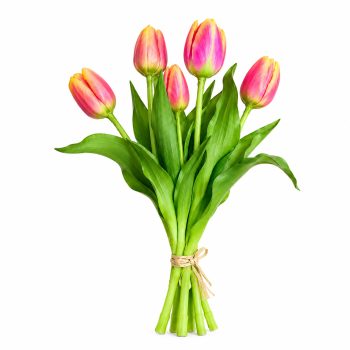 TULIP BUNDLE 5 X 13" MULTI-TONE SUNSET ORANGE MIX (3D-PRINTED REAL-TOUCH)