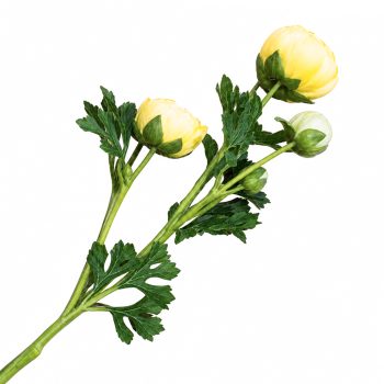 SPRAY RANUNCULUS 3X26" YELLOW