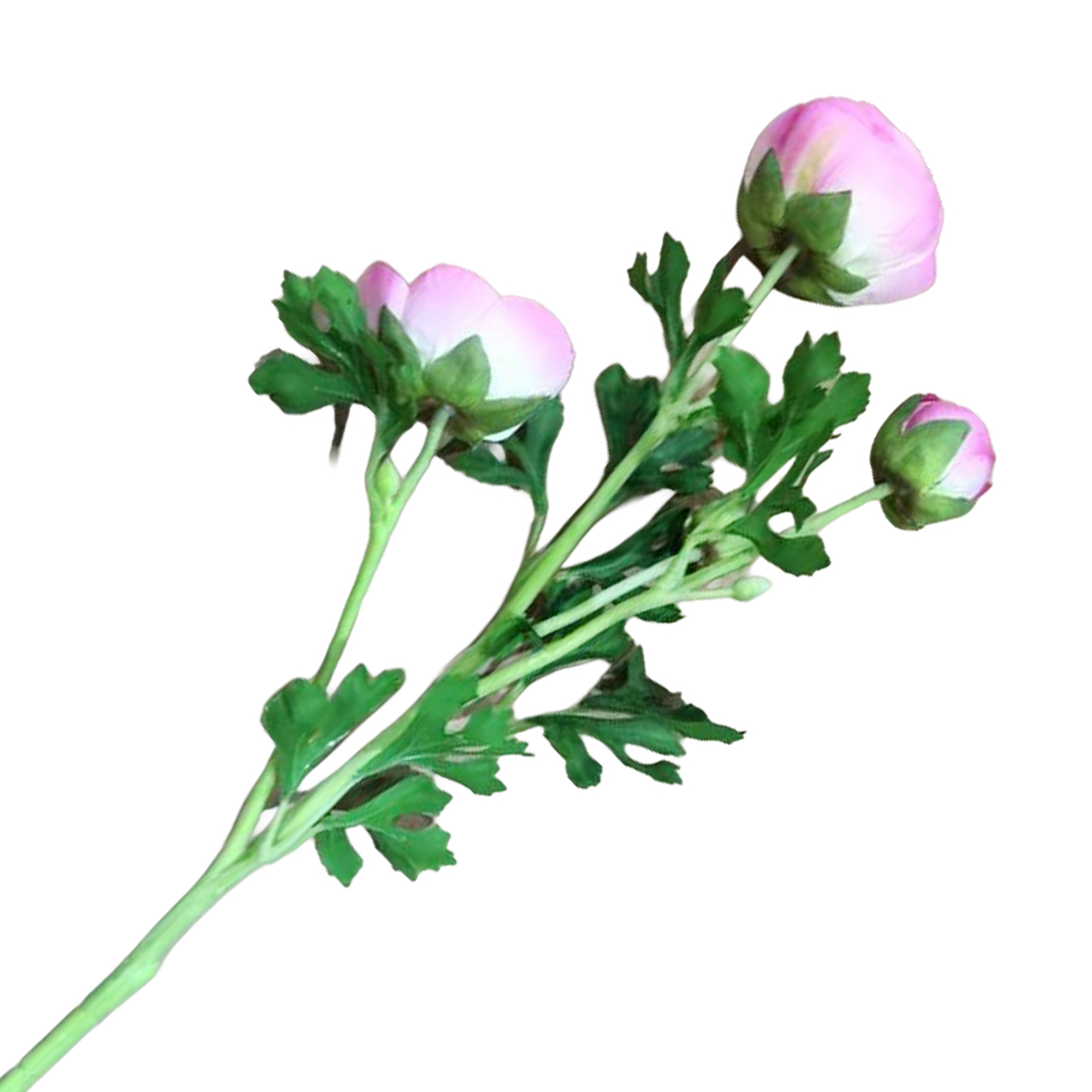 SPRAY RANUNCULUS 3X26" HOT PINK