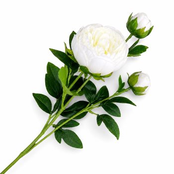 SPRAY PEONY 2X27" CREAM REAL TOUCH