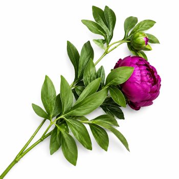 SPRAY PEONY 2X27" BEAUTY/BURGUNDY REAL TOUCH