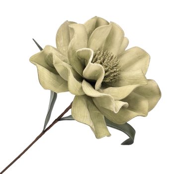 STEM MAGNOLIA 23.5" MATTE SAGE GREEN