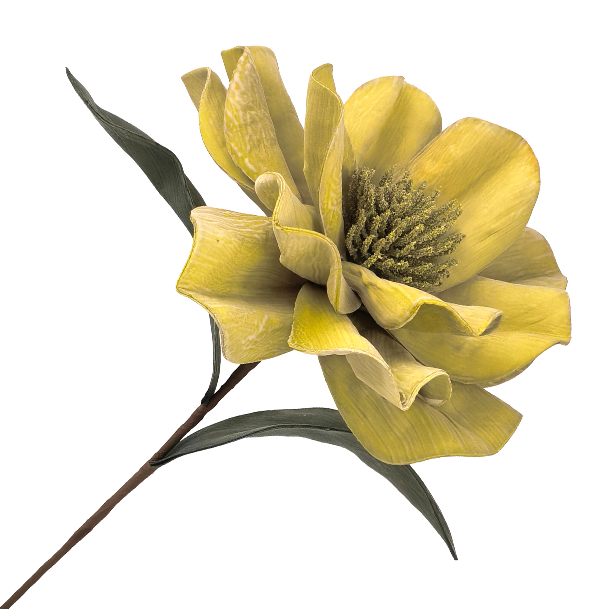 STEM MAGNOLIA 23.5" MATTE OLIVE/GOLD