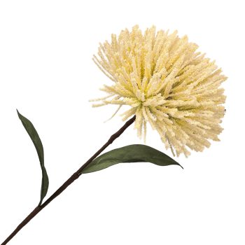 STEM SPIDER CHRYSANTHEMUM 21.5" CREAM