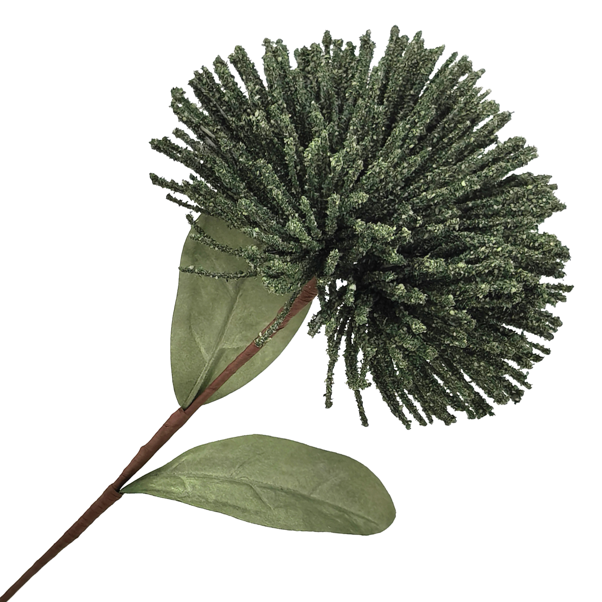 STEM SPIDER CHRYSANTHEMUM 21.5" DARK GREEN