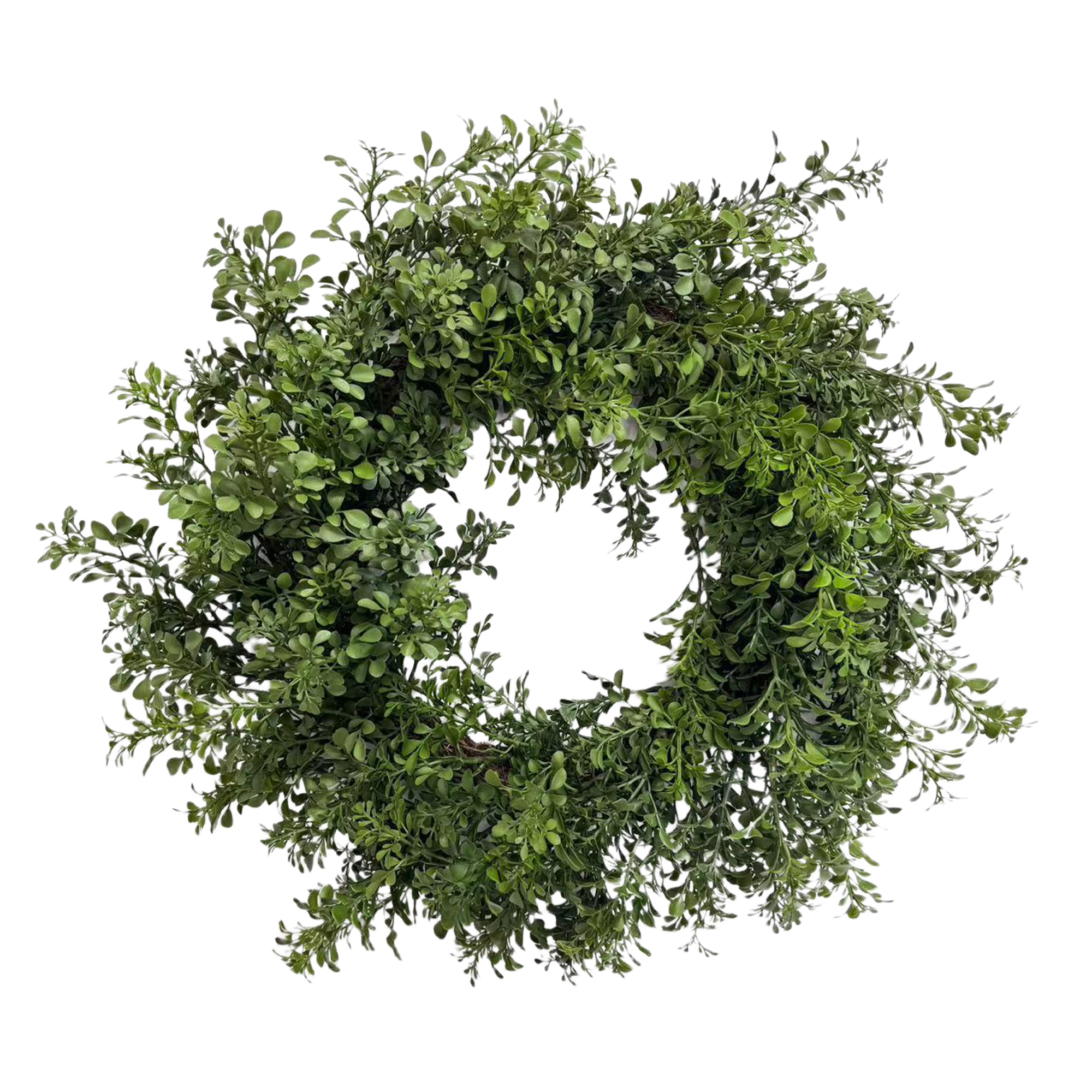 WREATH BOXWOOD 22" GREEN SPRIGS