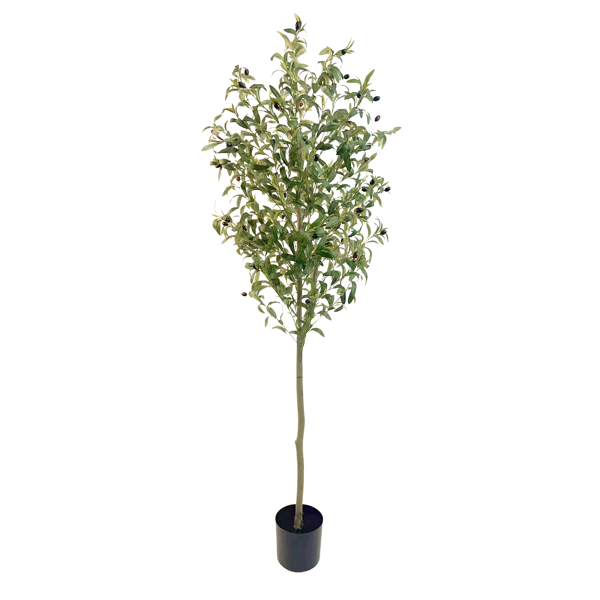 TREE OLIVE W/SLENDER LEAVES & FAUX OLIVES 992LVS 71" GREEN