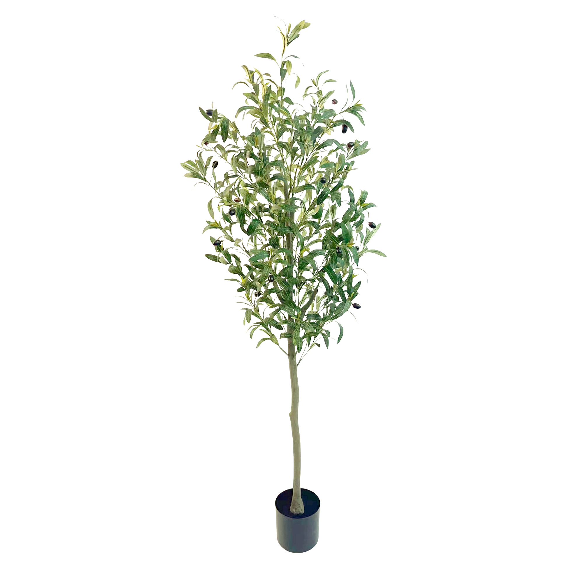 TREE OLIVE W/SLENDER LEAVES & FAUX OLIVES 686LVS 59" GREEN