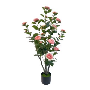 TREE CAMELLIA174 LEAVES /24 HEADS IN NURSERY POT 39.5" PINK
