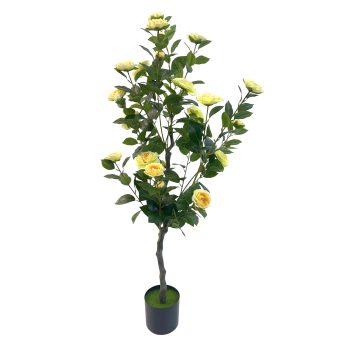 TREE CAMELLIA 203 LEAVES /28 HEADS IN NURSERY POT 47" YELLOW