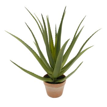 POTTED ALOE PLANT 22"H GREEN SUCCULENT WITH BLOOM